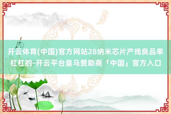 开云体育(中国)官方网站28纳米芯片产线良品率杠杠的-开云平台皇马赞助商「中国」官方入口