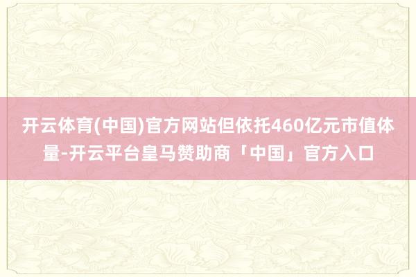 开云体育(中国)官方网站但依托460亿元市值体量-开云平台皇马赞助商「中国」官方入口