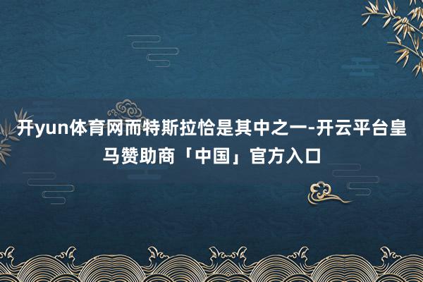 开yun体育网而特斯拉恰是其中之一-开云平台皇马赞助商「中国」官方入口