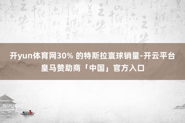 开yun体育网30% 的特斯拉寰球销量-开云平台皇马赞助商「中国」官方入口
