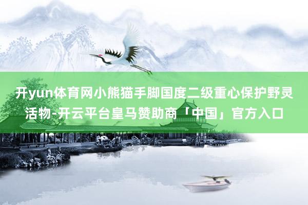 开yun体育网小熊猫手脚国度二级重心保护野灵活物-开云平台皇马赞助商「中国」官方入口