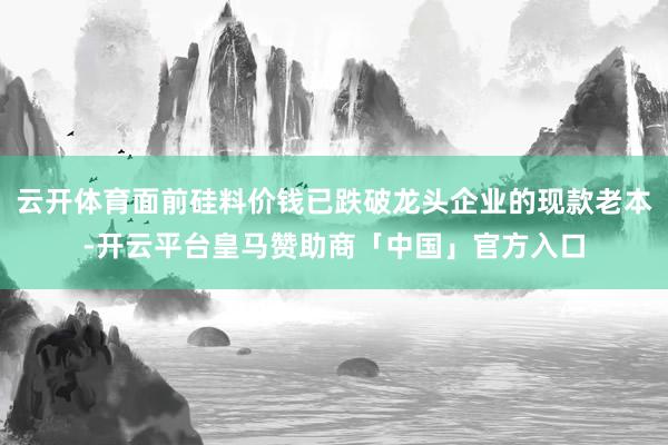 云开体育面前硅料价钱已跌破龙头企业的现款老本-开云平台皇马赞助商「中国」官方入口