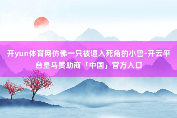 开yun体育网仿佛一只被逼入死角的小兽-开云平台皇马赞助商「中国」官方入口