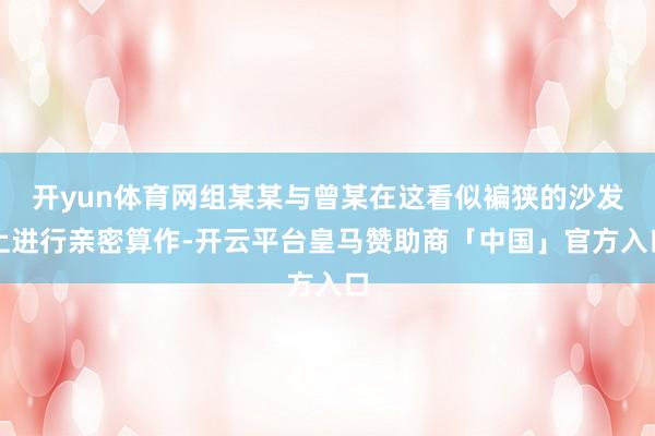 开yun体育网组某某与曾某在这看似褊狭的沙发上进行亲密算作-开云平台皇马赞助商「中国」官方入口